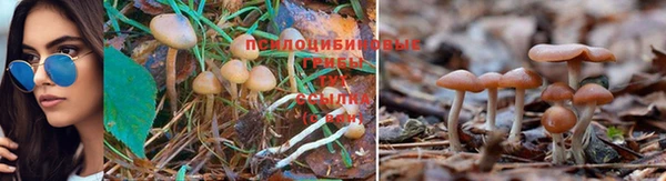 молекула духа Переславль-Залесский