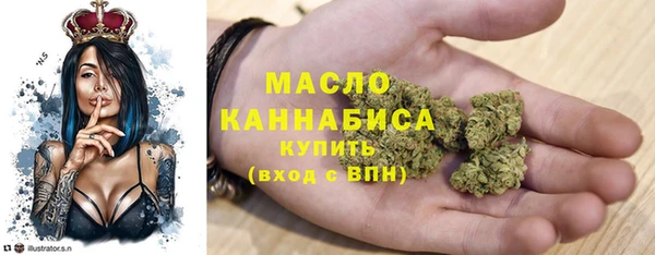 молекула духа Переславль-Залесский
