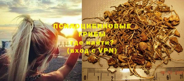 молекула духа Переславль-Залесский