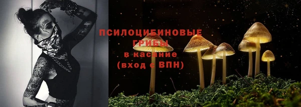 мдпв Пересвет