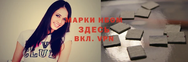 молекула духа Переславль-Залесский