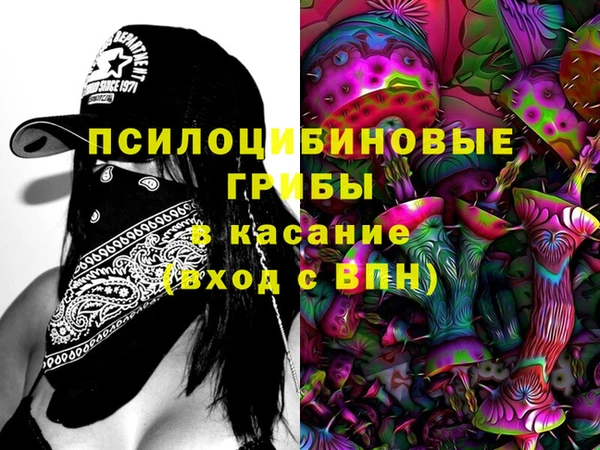 молекула духа Переславль-Залесский