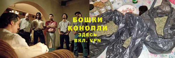 мдпв Пересвет
