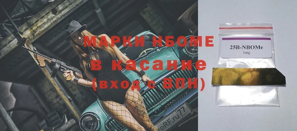 молекула духа Переславль-Залесский