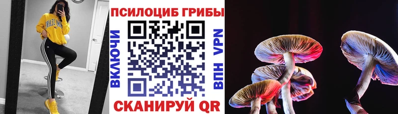 Галлюциногенные грибы MAGIC MUSHROOMS  купить наркотик  Кузнецк 