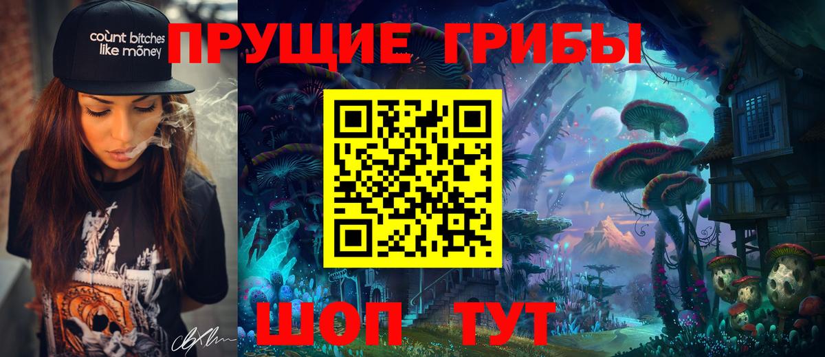 закладка  Псилоцибиновые грибы ЛСД  Кузнецк  Вход с VPN  Псилоцибиновые грибы мухоморы 