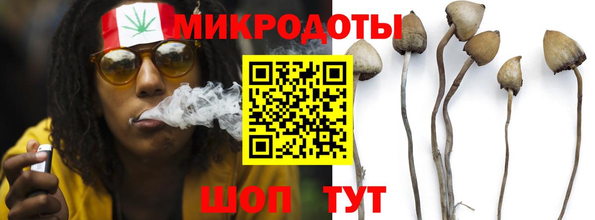 Меф  COCAIN  Плюхи  Вход с VPN  Кузнецк  СОЛЬ CK  Бошки Шишки  ГАШ 