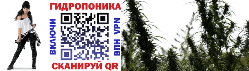 Марихуана сатива Кузнецк